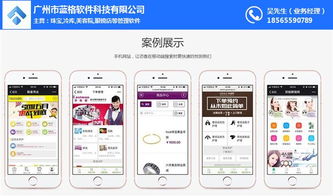 傲蓝软件 构建专业品牌营销网站的价值与价格解析